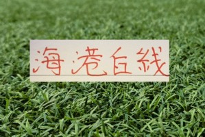 开云线上入口-一个主力中后卫都没有 难怪海港0比6热身赛惨败俄超劲旅泽尼特